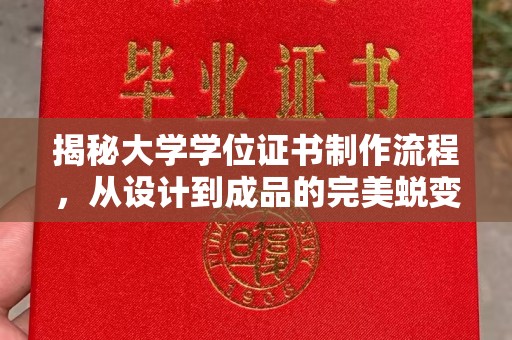 吉州揭秘大学学位证书制作流程，从设计到成品的完美蜕变
