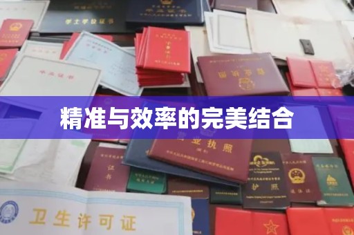 吉州精准与效率的完美结合